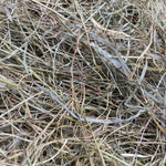 Meadow and orchard grass hay for rabbits, guinea pigs, chinchillas, and other rodents